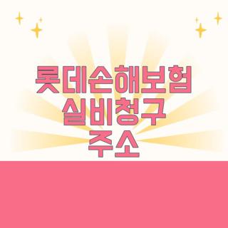 롯데손해보험 실비청구 주소